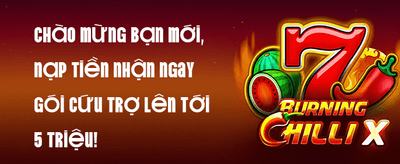 VIP Deposit Promotion